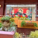 호텔투나잇 | 부산 오사카 배편 팬스타 미라클 투나잇 크루즈 가격 시간 여행특공대