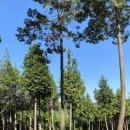 바른메디 이미지