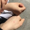 피자 알볼로 양구점 메뉴 꿈을피자 이제서야 먹어보는 후기