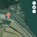 길종합동물병원 | [장성 옐로우 동물병원] 고양이 종합백신 후기, 가격표