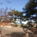 선산중앙로7길 이미지