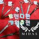 타쿠미 시저스