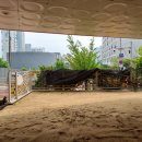 서울하늘숲유치원 이미지