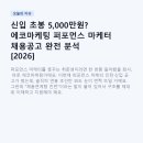 (주)에코인사이트 - 2773 | 신입 초봉 5,000만원? 에코마케팅 퍼포먼스 마케터 채용공고 완전 분석 [2026]