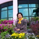 태장2동주민센터 이미지