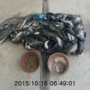 신선지낚시터 이미지