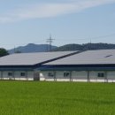 비즈솔루션 태양광발전소 이미지
