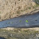 골든에그 이미지