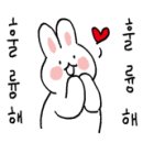 아임독 애견샵 이미지