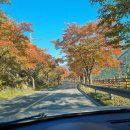 운문사계절캠핑장 이미지