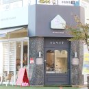 워킹펫살롱 이미지