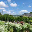 금서산방민박