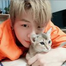 짱아PC방 이미지