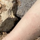 서귀포열린병원 이미지