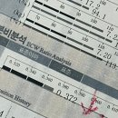 본어겐 이미지