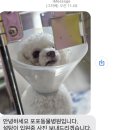 포포동물병원 이미지