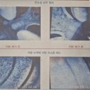 왕성차바닥 이미지