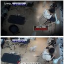 애견인들 사이에서 난리난 애견미용실 학대 사건 CCTV 이미지