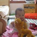 인형의 거리(원숭이 이미지