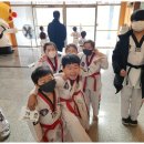 아이별 아이스타 태권도 이미지