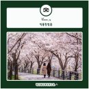 덕풍천서로 이미지