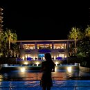 비아피 클럽 이미지