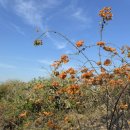 우신목장 이미지