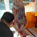 고령축산 이미지