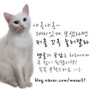 스마트잇(smart it) 이미지