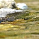 바람이 불어오는 곳 이미지