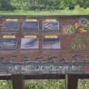 가원습지생태자연공원 | 동해시 - 가원습지 생태자연공원 / 자연과 함께 걷는 한적한 공원