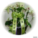 구일공인중개사사무소 이미지