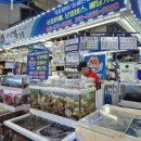 삼척횟집 | 삼척대왕횟집 삼척회포장 추천 후기