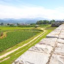 싱그러운청도로(가을) 이미지