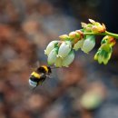 한길농부 농장 이미지