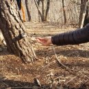 우남공인중개사사무소 이미지