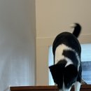 수택1동행정복지센터 정류장(우) | 2025년 12월 1일 ~ 7일