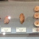 동삼동패총전시관 이미지