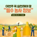 천일양봉 | 금주 꼭 실천해야하는 필수 농사정보 2022.10.31~ 2022.11.06 수확 건조 콩 밀 보리 가을 감자 유채...