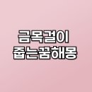 동양상사 | 금목걸이 줍는꿈해몽? 재물운과 투자운이 폭발하는 신호!