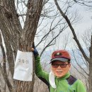 깜봉산 정상 이미지