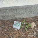 실내초등학교 이미지