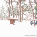 하얀농장 이미지