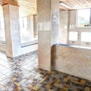 먼나머루 이미지