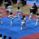 용인대 석사 타이거즈 태권도장 이미지