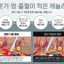 라미에르의원 이미지