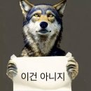 아주 오랫동안 널 향해 온 듯한 이상한 기분이 들어 :캐나다 어학연수 Week 1