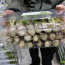 고실농장 이미지