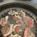 대포토박이