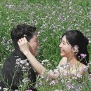 백합민박 | 나솔세계관 통합 커플1호, 14기 상철 나솔사계 백합 결혼 후 근황은?